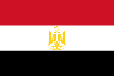 Bandiera EGP