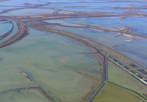 Image depicting the Cà Pisani oasis