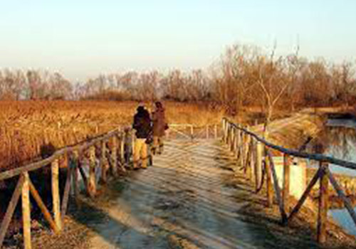 Image showing a path in a field.