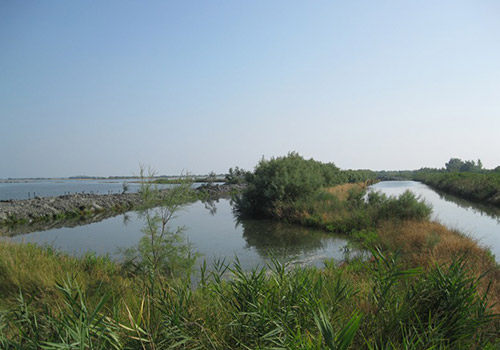 Image depicting the Cà Pisani oasis