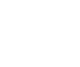 Icon of a professional with a briefcase, symbol of experience and expertise in the sector